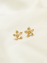 Boucles Lily or